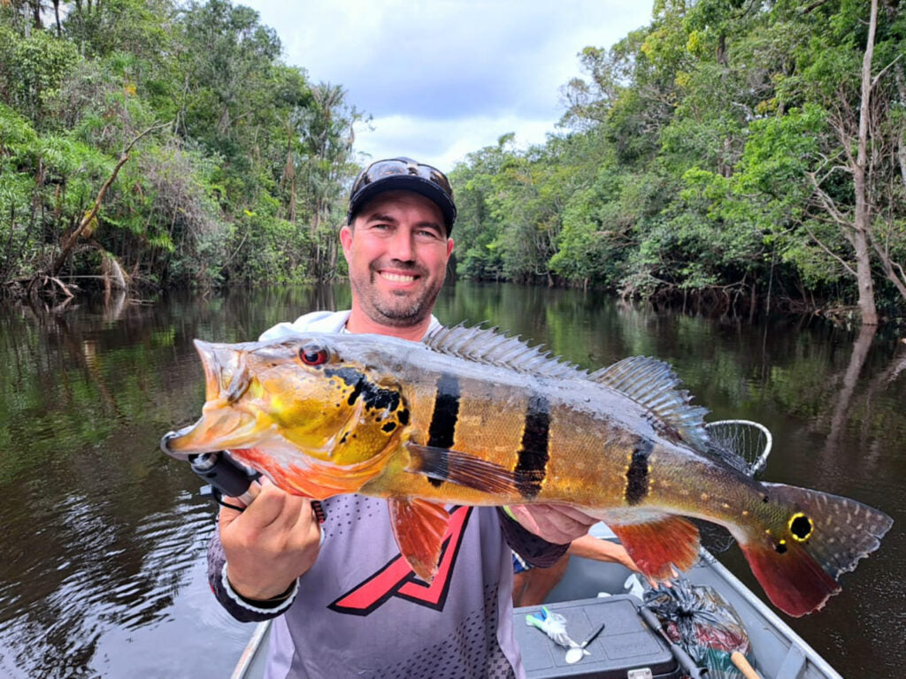 Peacock Bass zebra 5 band pair