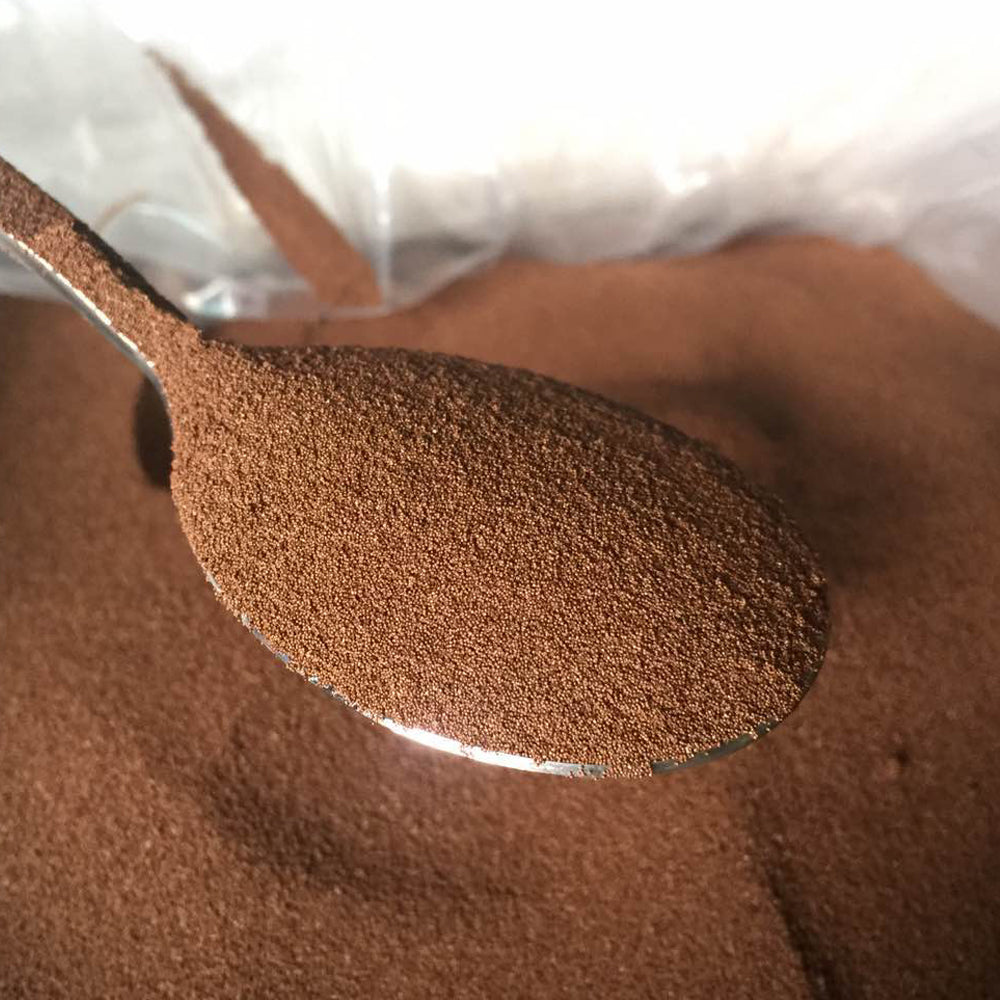 Brine shrimp eggs