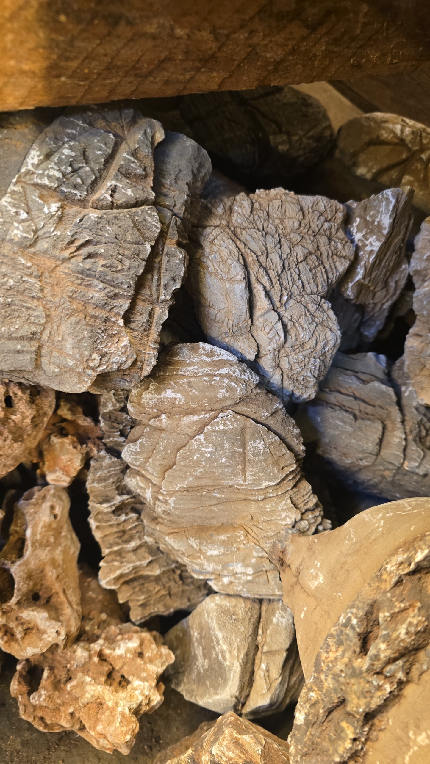 Scaping rocks